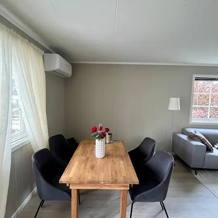 Fin Leilighet I Oslo